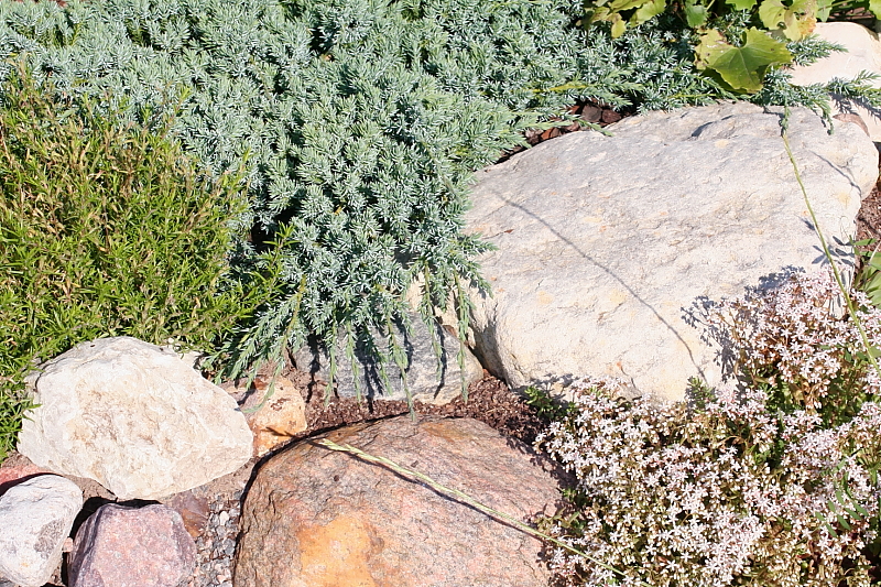 Killikus&reg; Fotographie